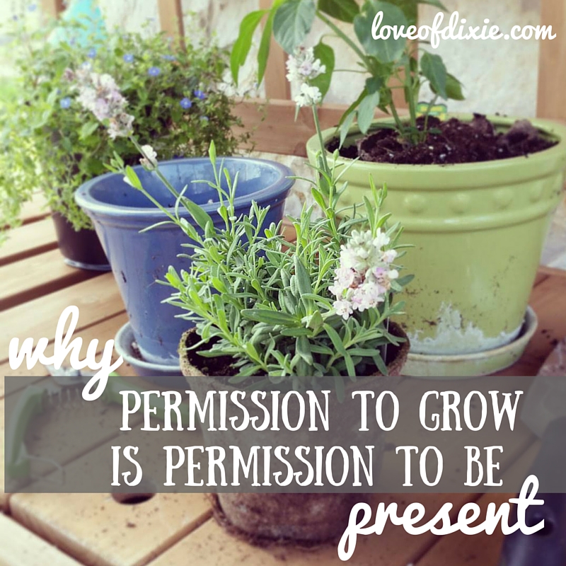 permission to grow be present